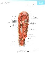 Sobotta  Atlas of Human Anatomy  Trunk, Viscera,Lower Limb Volume2 2006, page 328